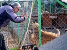 Общинският приют в Русе – втори по големина в България