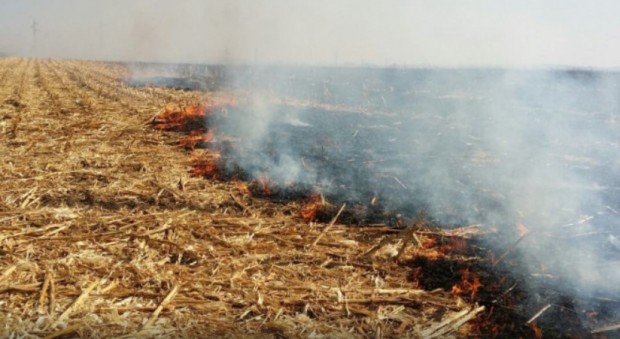 Тялото на 78 годишен мъж от село Златоклас е намерено в изгоряло стърнище