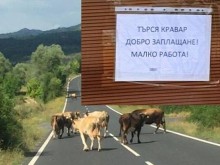 � ������ ����� �� ����� �������: ����� ���������, ����� ������