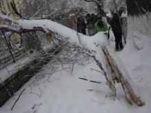 Пловдивски училища във ваканция до четвъртък заради снега