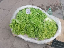Цената на зеленчук озадачи мрежата, пловдивчани в недоумение