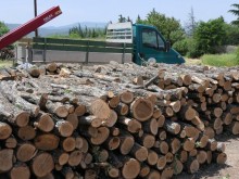 Близо 17 000 проверки извършиха горски инспектори от държавните горски предприятия