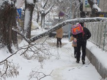 Пловдив под снежна блокада през погледа на читателите на Plovdiv24.bg