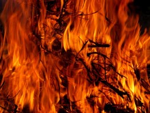 Пожар гори в землището на село Пъстрогор