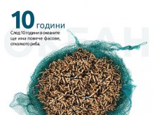 Диляна Якова: Цигарените фасове са най-често срещаните отпадъци по плажовете в ЕС