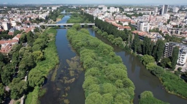 TD Община Пловдив обяви обществена поръчка за спешно почистване на растителността