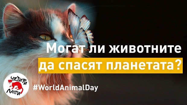 "Споделена планета" - 97 години Световен ден за защита на животните
