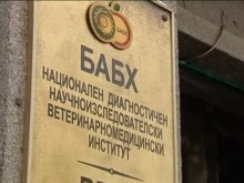 ������ �������� � �������� �� ������������ �������� �� ����