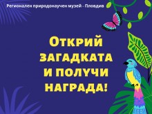 Цял уикенд игри и забавления в Природонаучен музей - Пловдив