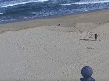 Какви ги вършат тези двамата на плажа на Слънчев бряг?