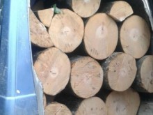 Гонка с полиция като по филмите завърши подобаващо