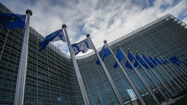 Европейската комисия планира да даде на държавите членки повече свобода