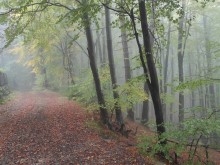 Времето се разваля, но не в цялата страна