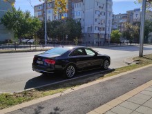 Пловдивчанин: Нямаше как да не го снимам, респект! Жалко, че са единици