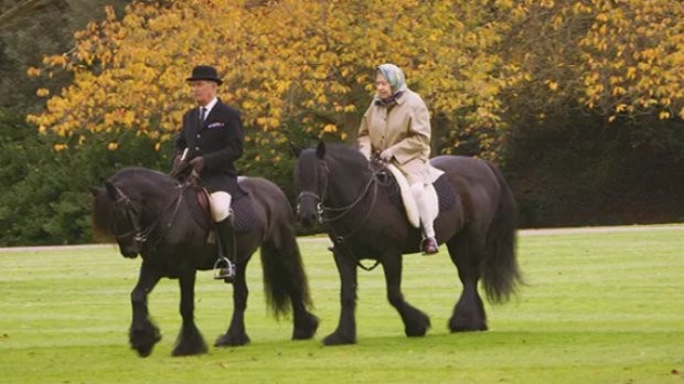 Бъкингамският дворец пусна нова снимка на любимото пони на Елизабет II