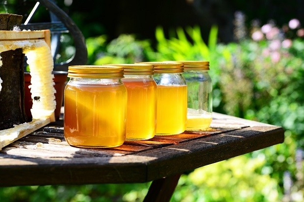 Между 10 и 12 кг от кошер е средният добив на мед в Смолян, цените достигат до 20 лв.