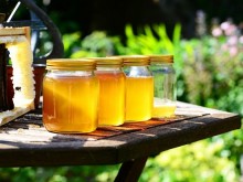 Между 10 и 12 кг от кошер е средният добив на мед в Смолян, цените достигат до 20 лв.