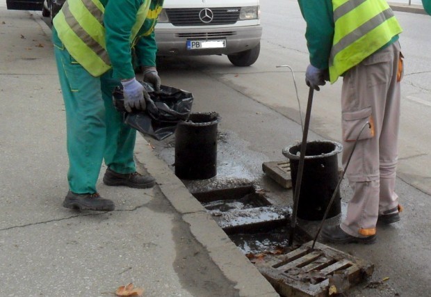 Започва есенната дератизация в Пловдив