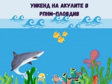 В Регионален природонаучен музей Пловдив ще се проведе "Уикенд на акулите"