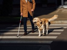 В Пловдив разясняват проблемите на незрящите хора