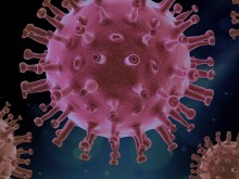 195 са новите случаи на коронавирус у нас