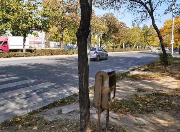 TD Изсъхнали дървета и сухи клони притесняват пешеходците на централен пловдивски булевард