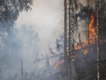 Стотици се включиха в гасенето на пожар между варненските села Бенковски и Здравец