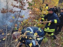 Военноморските сили участват в потушаване на горския пожар край Варна