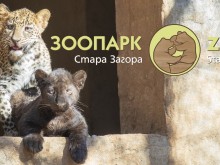 Търси се кръстник на новите обитатели на Зоопарка в Стара Загора