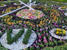 Около 17 000 броя теменужки "Виола" красят цветните алеи в Казанлък