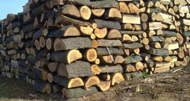 Цената на дървата за огрев скача три пъти от държавния