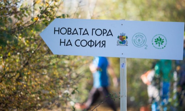 Започва есенният залесителен сезон на "Новата гора на София 2"