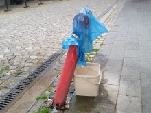 И такова нещо може да се види в центъра на Пловдив