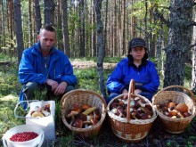 Обясниха защо е добра практика при бране гъбите да се откъсват