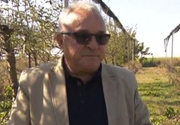 TD Защо най големият производител на ябълки в България изкоренява своята градина Той е