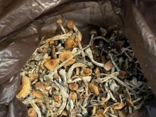������� ������� ������� � ��������������� �� ��������� � �����