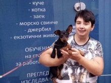 �����������: ������ ������ �� ��������, �� ������ �� � �������
