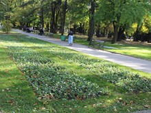Разкрасяват Пловдив