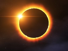 ���� ����������� �������� �������� ����������