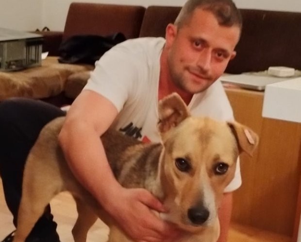 Най известното куче в България си намери дом научи Sofia24 bg   Животното което