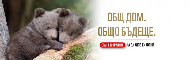WWF: Популациите на застрашени животни в България са изложени на риск