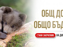 WWF: Популациите на застрашени животни в България са изложени на риск