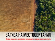 WWF: Популациите на застрашени животни в България са изложени на риск