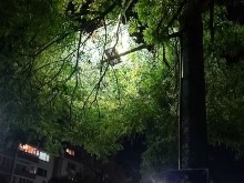 Вижте какво забеляза наблюдателен пловдивчанин