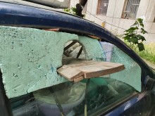 Мизерия в центъра на Пловдив - коли се използват за котешки апартаменти