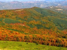 Прекрасно есенно време ни очаква днес, разходете се в планината!
