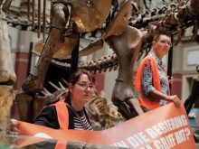 Екоактивисти се залепиха за скелет на динозавър в Берлин
