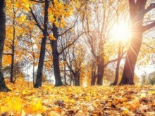 Слънчево ще е времето днес