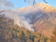 Ликвидиран е пожарът в Рила планина