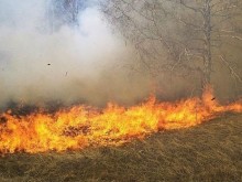 Десетки пожарникари се борят с огнена стихия до границата ни с Гърция
